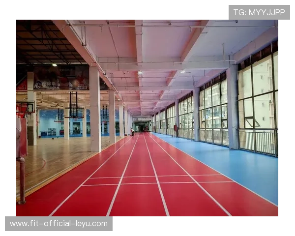 篮球运动装备研发创新步伐不断加快，篮球运动器材